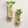 Small Wooden Wall Shelves for Plants – Set of 2 | Mini Floating Wall Shelf | 1-Tier Each | Wall Mounted Decorative Rack | Beige | Ideal for Succulents, Candles, Home Décor