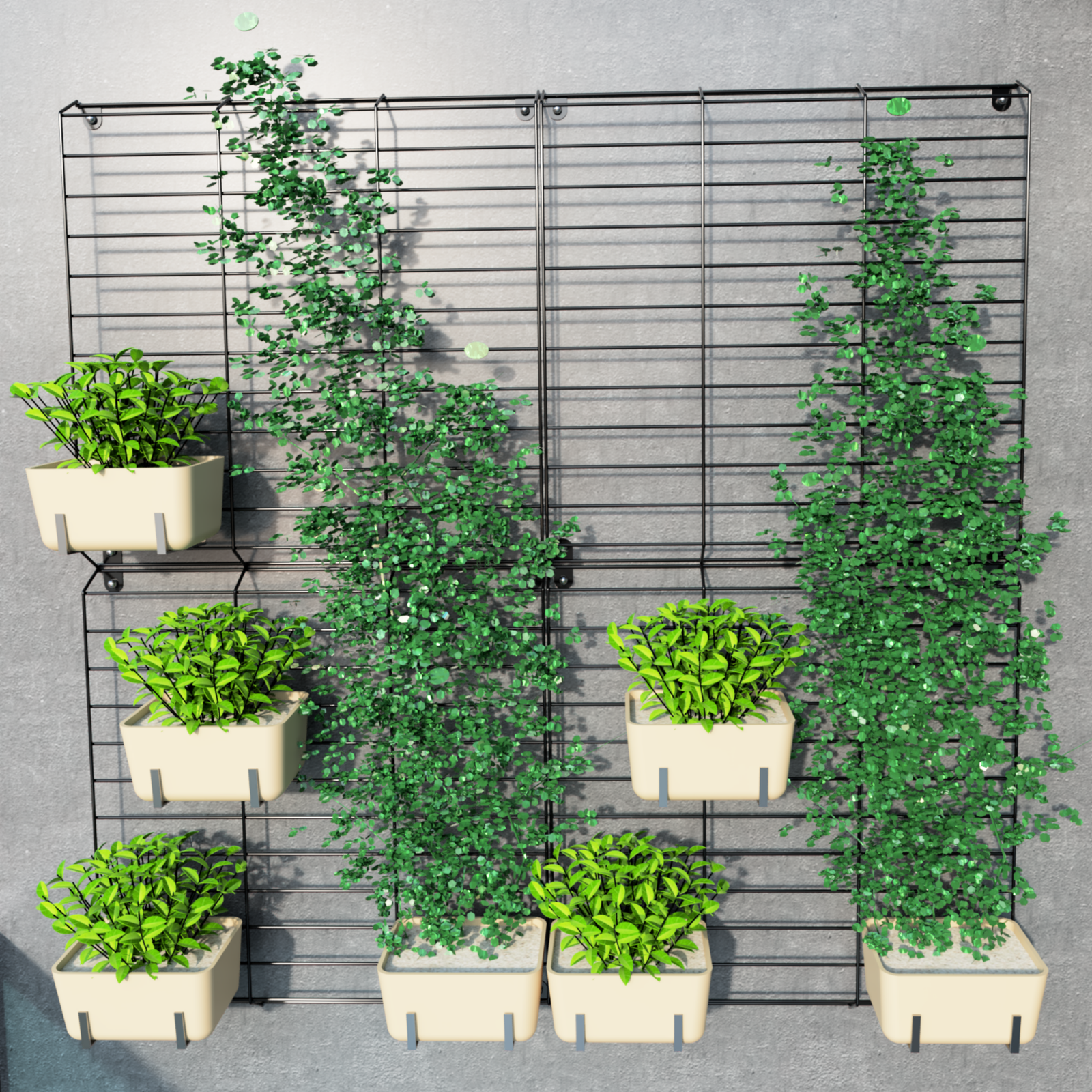1_07abcfd9-9b68-4113-a02a-6a205c137be3.png Black Grellis Grid Wall Mounted Plant stand (Set of 4) - Image 1