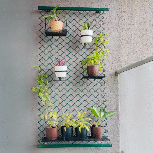 Moss Green Grellis Curtain Wall-Mounted Plant Stand