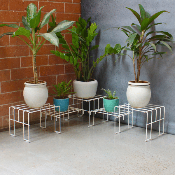 White Moso Corner plant stand for 5 pots