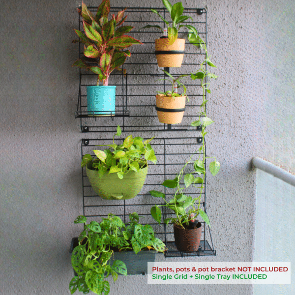 Black Grellis Grid Wall Mounted Plant stand (Set of 2)