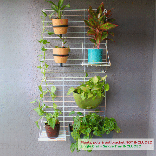 White Grellis Grid Wall Mounted Plant stand (Set of 2)