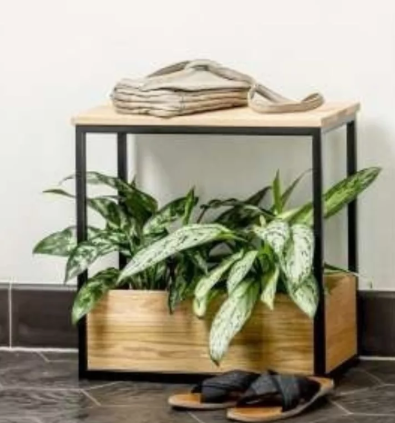 Modern Indoor Greenhouse Planter with Glass Enclosure