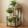 KRAYOG 3-Tier Wooden Plant Stand with Rectangular Base | Indoor Corner Multi-Pot Holder | Wooden Display Rack for Home, Balcony & Garden | Pack of 1