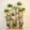 KRAYOG 8-Tier Vertical Wooden Plant Stand | Tall Indoor Flower Pot Holder | Multi-Level Wood Display Rack for Home, Living Room, Balcony & Garden | Pack of 1 - Image 5